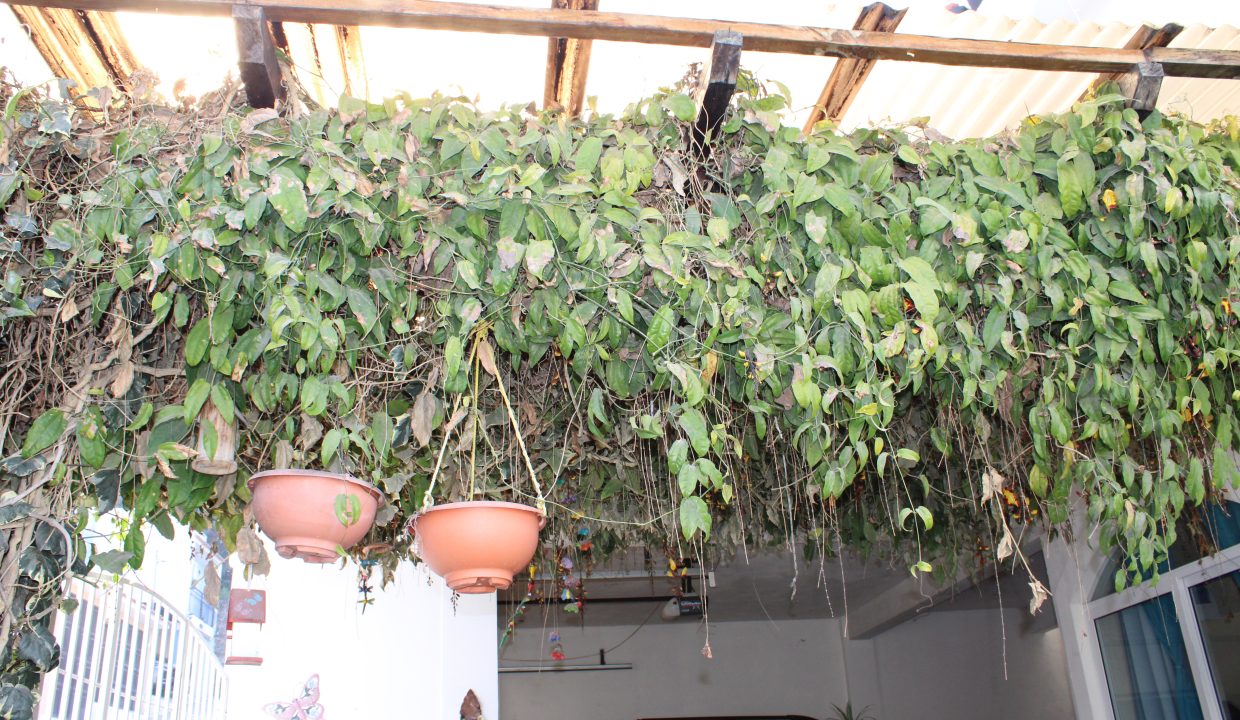 13 pergola grande