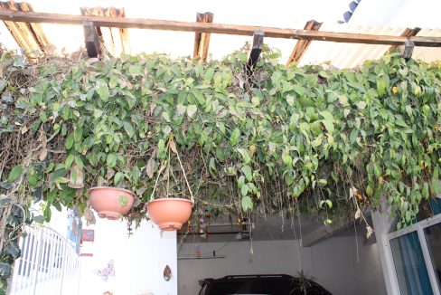 13 pergola grande