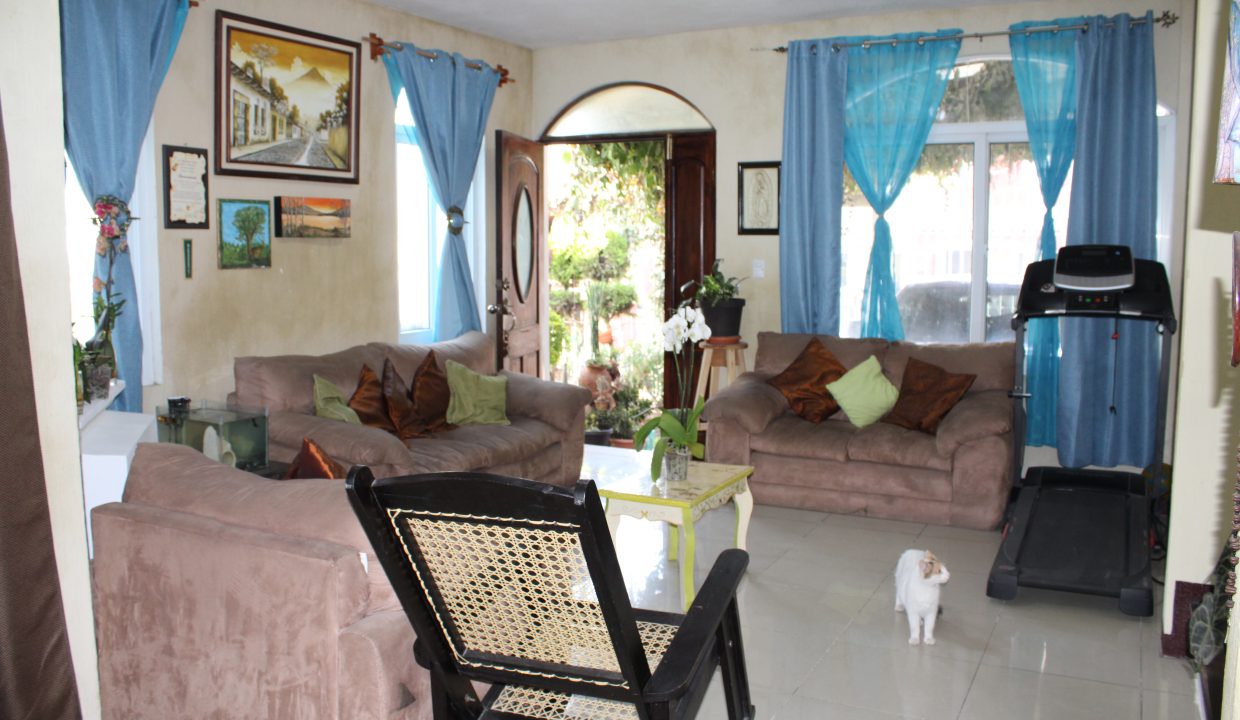 2.3sala con gatito
