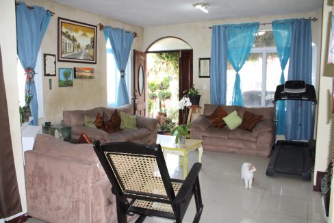 2.3sala con gatito