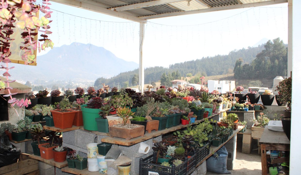 23.4terraza