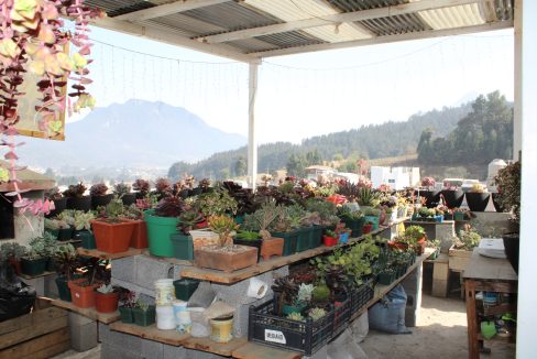 23.4terraza