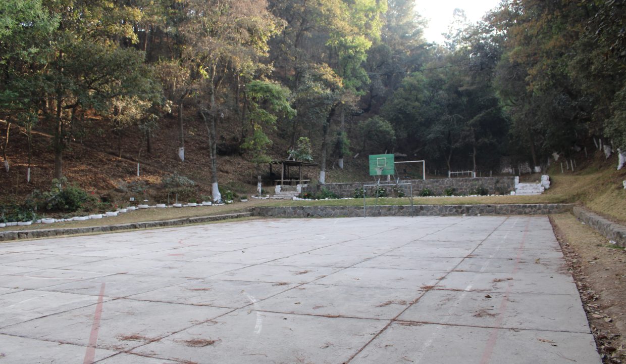 33 cancha de basket