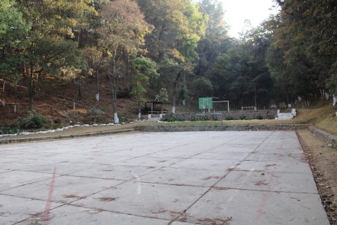 33 cancha de basket
