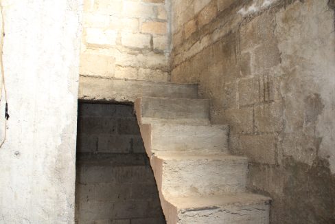 IMG_6559