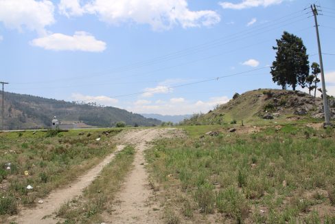 IMG_6939