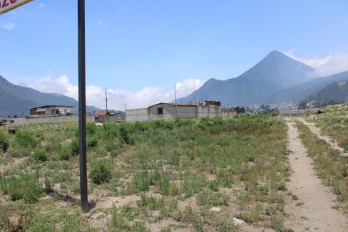IMG_6941