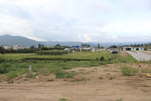 IMG_6980